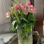 Aflenz Frühstückspension 3*