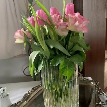 Aflenz فندق مبيت وإفطار 3*