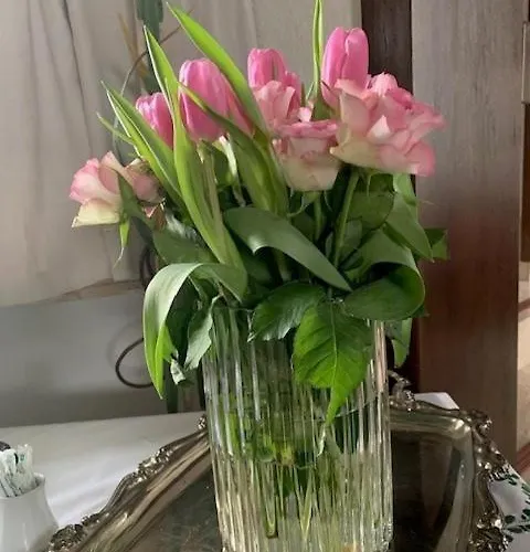 Aflenz 住宿加早餐酒店 3*